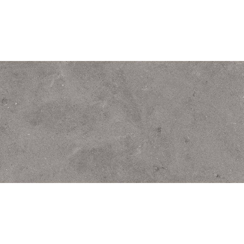 SERENASTONE GRAY MAT 60X120 REKT. (P.68471)