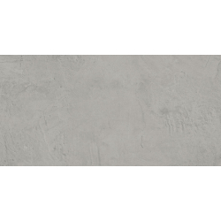 DEVON SILVER LAPPATO 60X120...