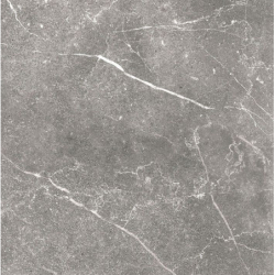 SOAPSTONE GRAY POLER 60X60...
