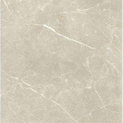 SOAPSTONE TAN POLER 60X60...