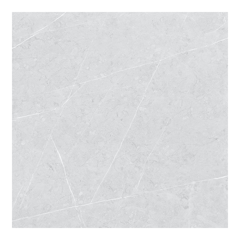 ALTAMURA SILVER POLER 60X60 REKT. (P.68539)
