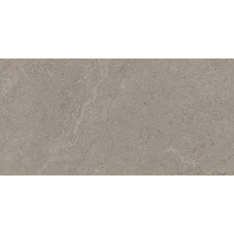 DORSET GREIGE MAT 60X120 REKT. (P.68565)