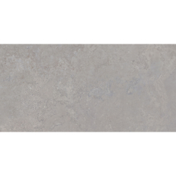 DORSET SILVER MAT 60X120...