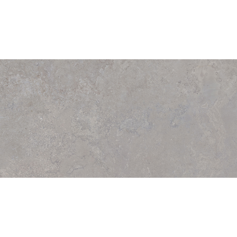 DORSET SILVER MAT 60X120 REKT. (P.68569)