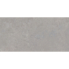 DORSET SILVER MAT 60X120 REKT. (P.68569)