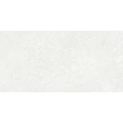 BORGA WHITE MAT 60X120...