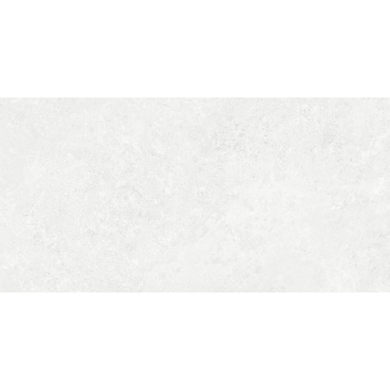 BORGA WHITE MAT 60X120 REKT. (P.68575)