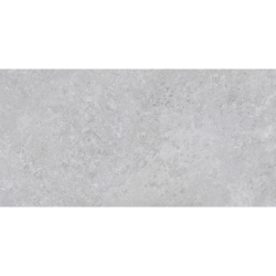 BORGA SILVER MAT 60X120...