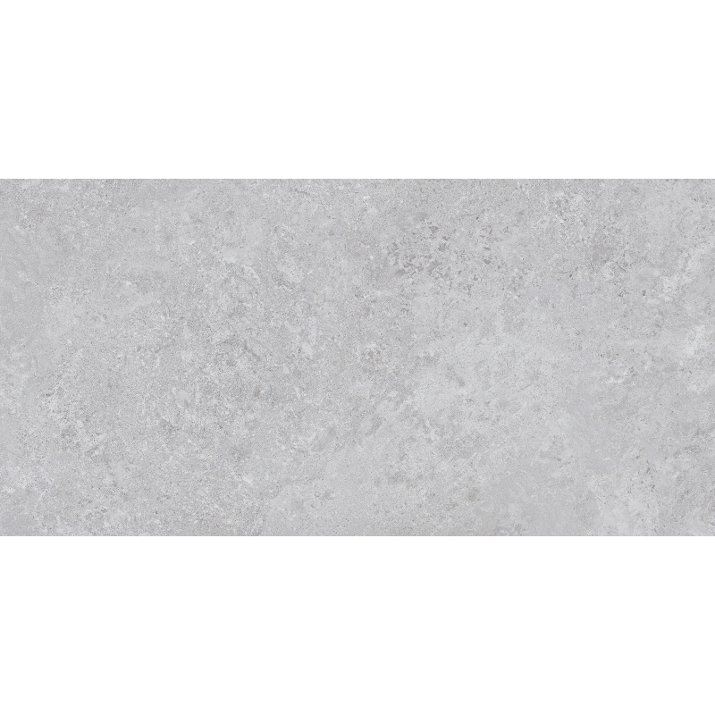 BORGA SILVER MAT 60X120 REKT. (P.68579)