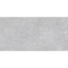 BORGA SILVER MAT 60X120 REKT. (P.68579)