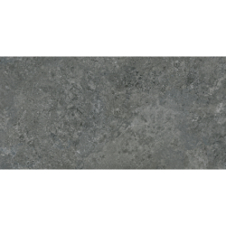 BORGA GRAPHITE MAT 60X120...