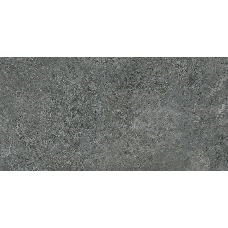 BORGA GRAPHITE MAT 60X120 REKT. (P.68581)