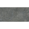 BORGA GRAPHITE MAT 60X120 REKT. (P.68581)