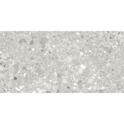 CLEMON SILVER MAT 60X120...