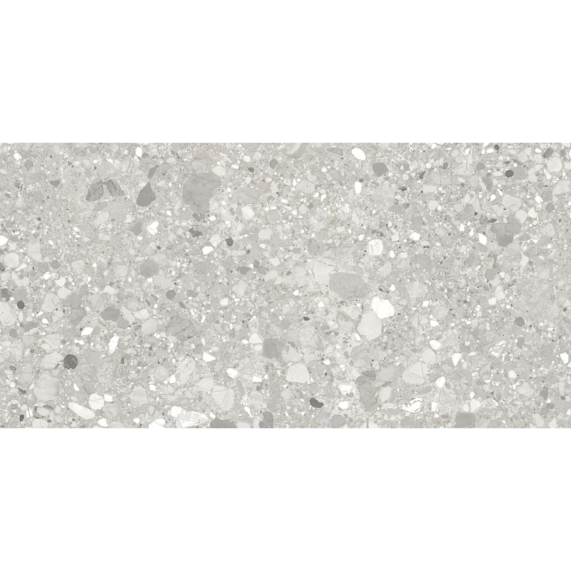 CLEMON SILVER MAT 60X120 REKT. (P.68587)