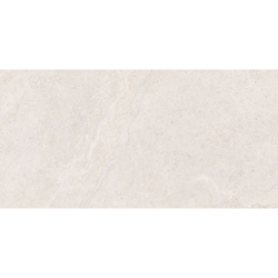 DORSET WHITE MAT 60X120...