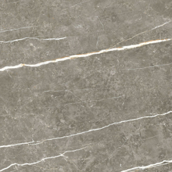 ELITE GRAPHITE POLER 60X60...