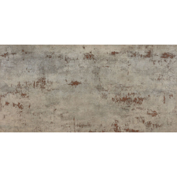 METAL SILVER LAPPATO 60X120...