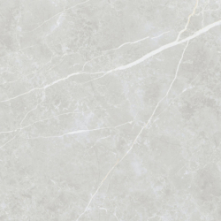 ELITE SILVER MAT 60X60...
