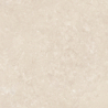 BORGA IVORY MAT 60X60 REKT. (P.68955)