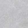 BORGA SILVER MAT 60X60 REKT. (P.68957)