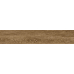BERNA UMBER MAT 23X120...