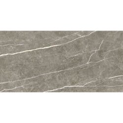 ELITE GRAPHITE POLER 60X120...