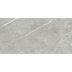 ELITE GRAY POLER 60X120...