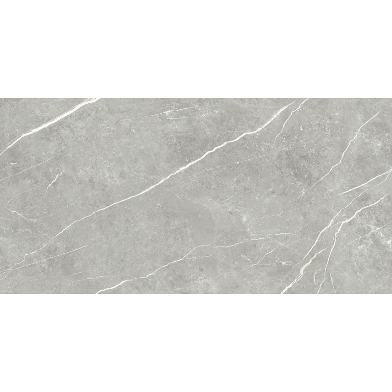ELITE GRAY POLER 60X120 REKT. (P.69063)