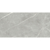 ELITE GRAY POLER 60X120 REKT. (P.69063)
