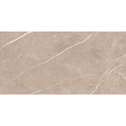 ELITE GREIGE POLER 60X120...