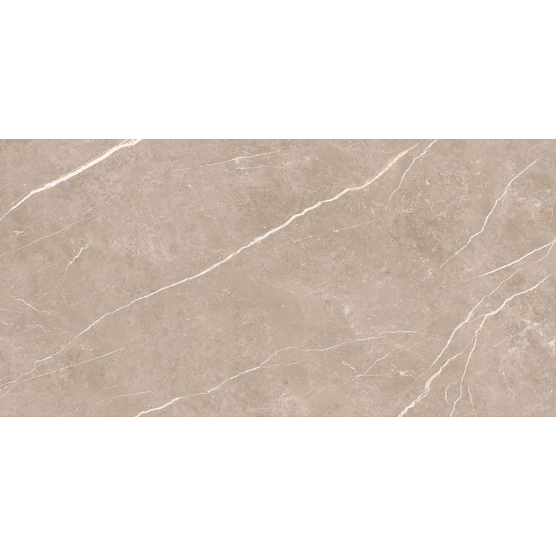 ELITE GREIGE POLER 60X120 REKT. (P.69065)