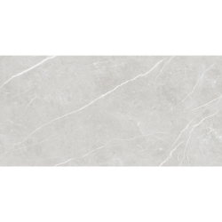 ELITE SILVER POLER 60X120...