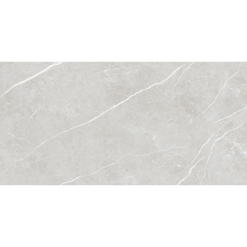 ELITE SILVER POLER 60X120 REKT. (P.69077)