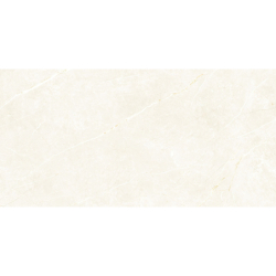 ELITE WHITE POLER 60X120...