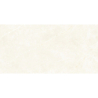 ELITE WHITE POLER 60X120 REKT. (P.69099)
