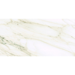 DOZZA GOLD POLER 60X120...