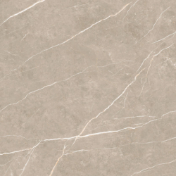 ELITE GREIGE MAT 120X120...