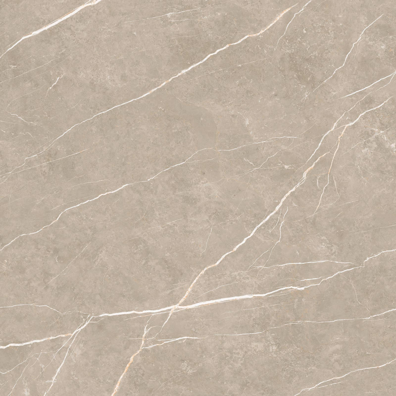 ELITE GREIGE MAT 120X120 REKT. (P.69151)