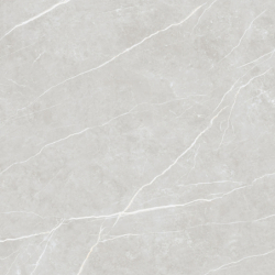 ELITE SILVER POLER 120X120...