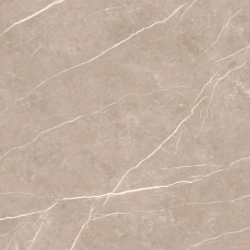ELITE GREIGE POLER 120X120...