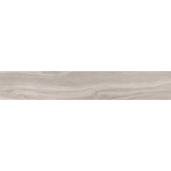 ORIGIN SILVER MAT 20X120...