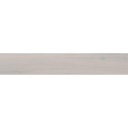 LOIRE SILVER MAT 20X120...