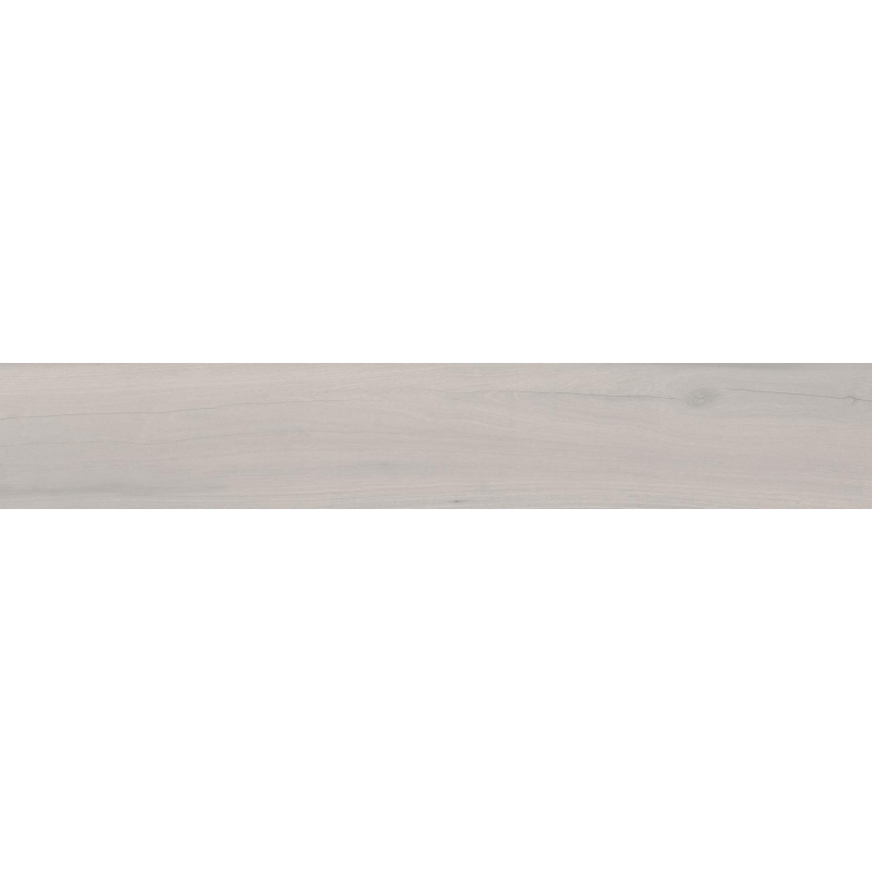 LOIRE SILVER MAT 20X120 REKT. (P.69241)