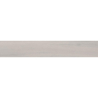 LOIRE SILVER MAT 20X120 REKT. (P.69241)