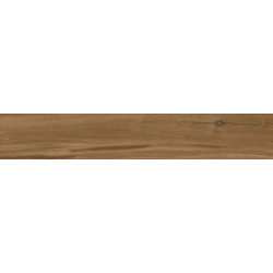 LOIRE UMBER MAT 20X120...
