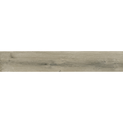 ETERNAL OLIVO MAT 20X120...