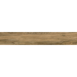 RAGUSA UMBER MAT 20X120 REKT. (P.69305)