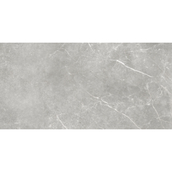 SOAPSTONE SILVER MAT 60X120...