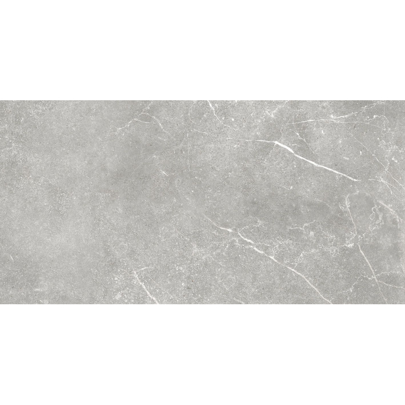 SOAPSTONE SILVER MAT 60X120 REKT. (P.69325)
